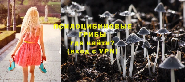метадон Белокуриха