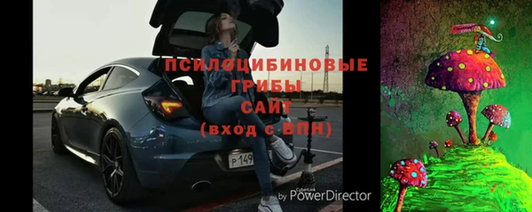 метадон Белокуриха