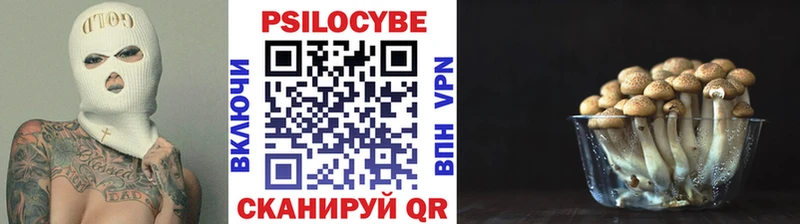 купить наркотик  площадка Telegram  Псилоцибиновые грибы Magic Shrooms  Уяр 